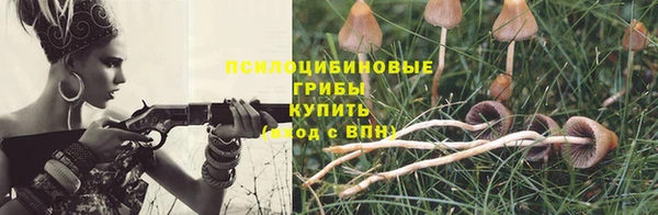 spice Вязники