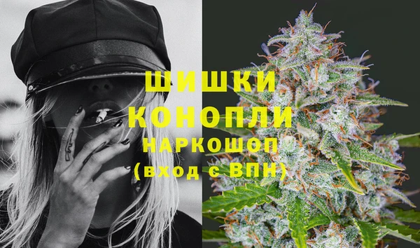 spice Вязники