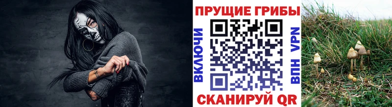 Галлюциногенные грибы мицелий  Купить закладки  Краснокамск 